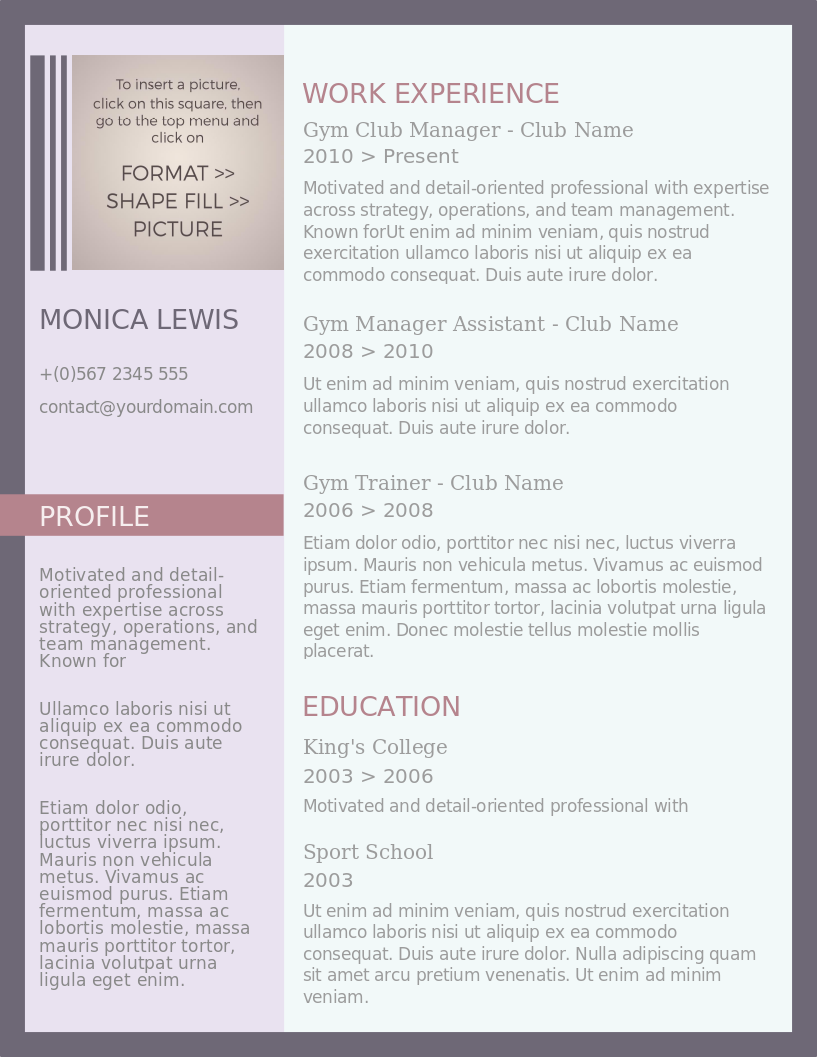 The Chic Applicant CV – anteprima